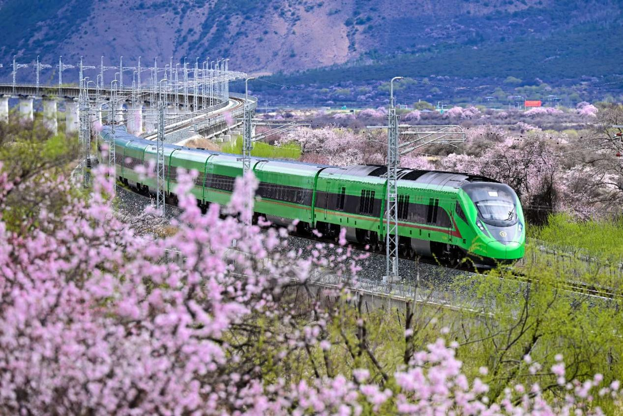 Lhasa-Nyingchi Railway: Five years fueling prosperity anddevelopment in Xizang