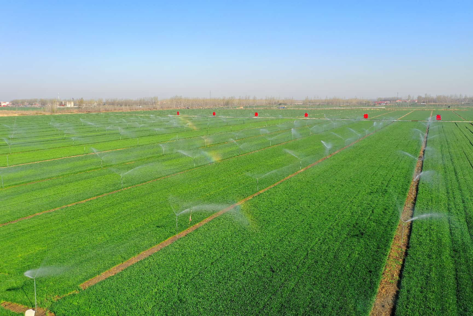 Technology transformsfarming across China’s fields