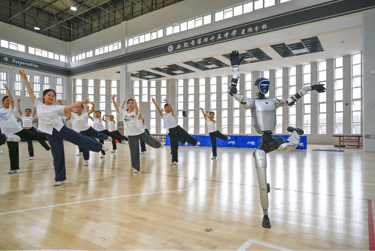 Why are Chinese robots both affordable and highly capable?
