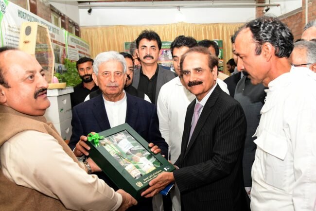 Govt to equip agri sector with modern technology: Rana Tanveer