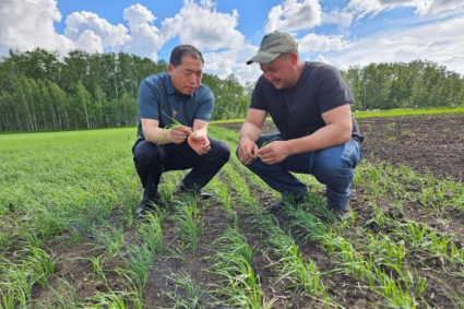 China, Central Asia make continuous efforts to deepen agricultural cooperation