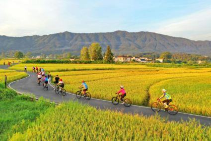 China embraces two-wheel mobility as a green urban transportation solution