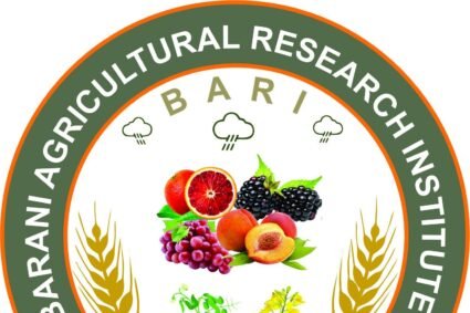 Barani Institute Chakwal produces over 60 crop varieties
