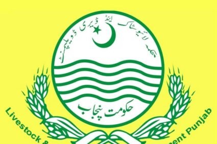 Punjab govt to provide new veterinary diagnostic equipment at tehsil level
