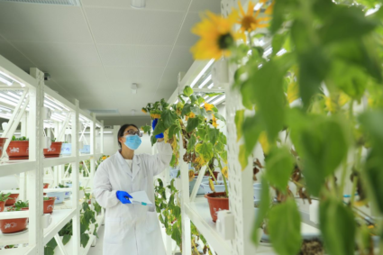 China emerges as a global leader in seed industry innovation