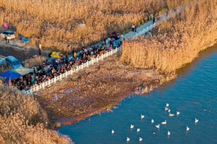 Lanzhou uses acoustic technology to monitor, protect birdlife