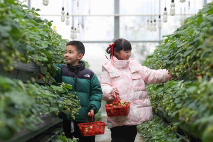 How intellectual property drives China’s rural transformation