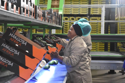 China’s zero-tariff policy widely applauded in Africa