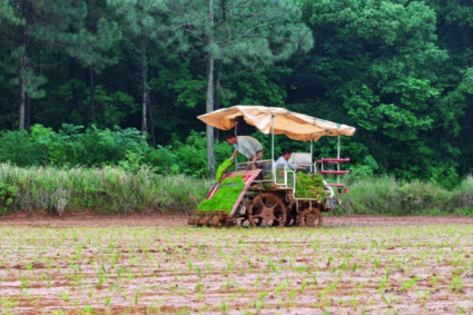 BeiDou navigation system powers China’s agricultural transformation