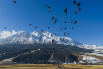 China’s ecological protection red line system strengthens ecosystem protection