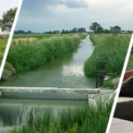 KP plans irrigation project for 10,930 acres of agricultural land