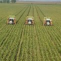 Punjab rolls out Rs60bn agro parks to boost exports