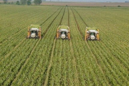 Punjab rolls out Rs60bn agro parks to boost exports