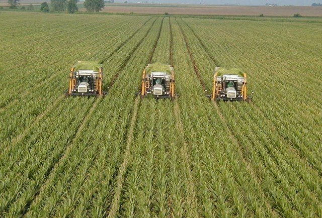 Punjab rolls out Rs60bn agro parks to boost exports