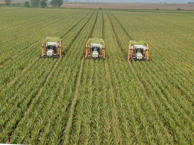 Punjab rolls out Rs60bn agro parks to boost exports