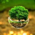 Govt plans three new projects under Rs122bn Green Pakistan Programme