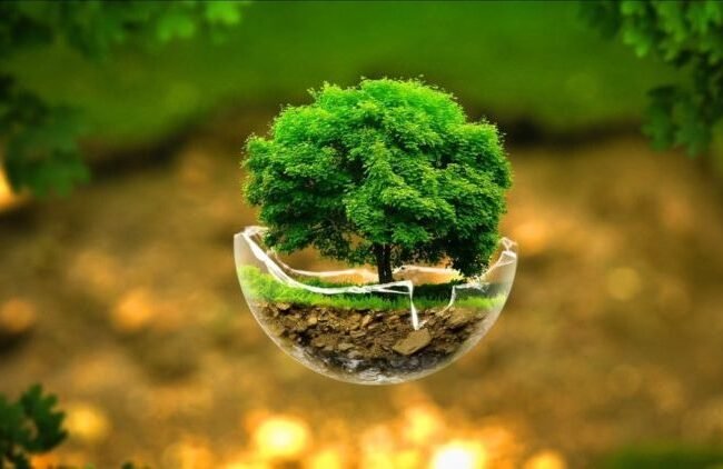 Govt plans three new projects under Rs122bn Green Pakistan Programme