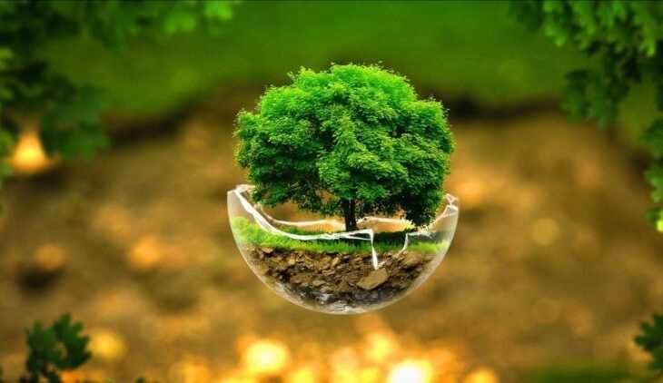 Govt plans three new projects under Rs122bn Green Pakistan Programme