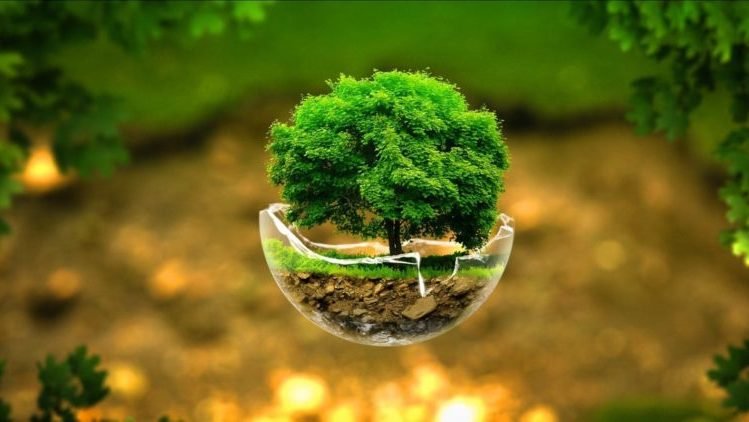 Govt plans three new projects under Rs122bn Green Pakistan Programme