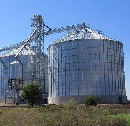 Punjab moves to expand wheat storage under Rs20bn plan