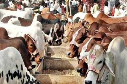 Punjab unveils Rs149.9bn plan to raise livestock exports beyond $4bn