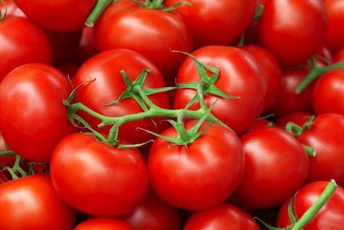 Pakistan developing high-yielding, heat-tolerant tomato varieties