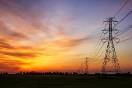 Govt targets electrification of over 15,000 villages in FY2026-27