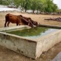 Over 67,000 people benefit from rainwater projects in Sindh and KP