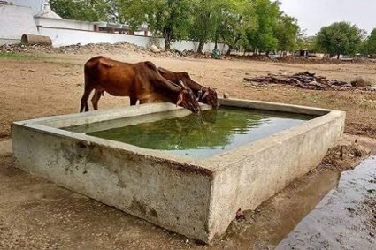Over 67,000 people benefit from rainwater projects in Sindh and KP