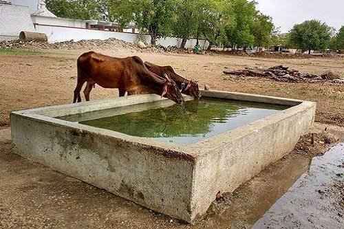 Over 67,000 people benefit from rainwater projects in Sindh and KP