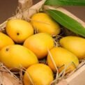 Pakistan records 44,882 tonnes in mango exports this season