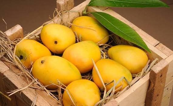 Pakistan records 44,882 tonnes in mango exports this season