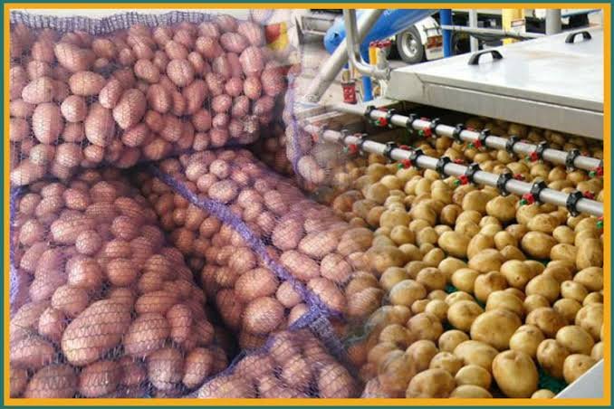 Pakistan secures access for potato exports in 36 countries