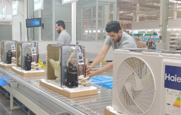 China-Egypt practical cooperation: A record of achievements