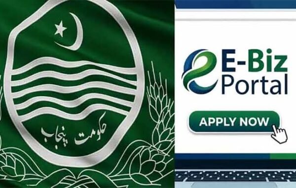 e-Biz platform streamlines more than 146,000 business applications in Punjab