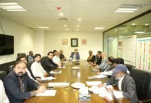 Minister orders five-year roadmap to boost kinnow, citrus exports