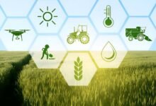 Climate-smart farming projects worth £300,000 planned for Cholistan and Thal