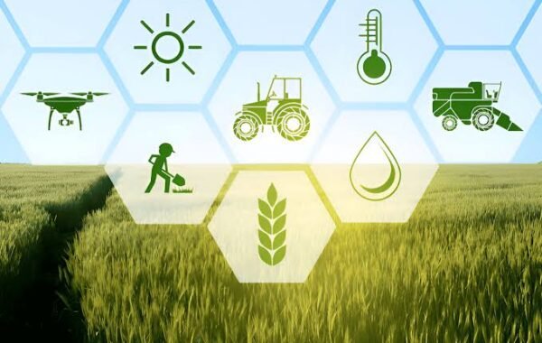 Climate-smart farming projects worth £300,000 planned for Cholistan and Thal
