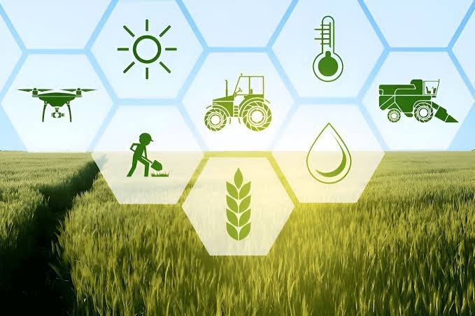 Climate-smart farming projects worth £300,000 planned for Cholistan and Thal