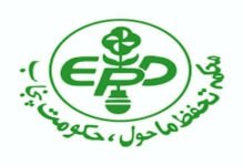 EP&CCD targets 800 women entrepreneurs with $15m green startup plan