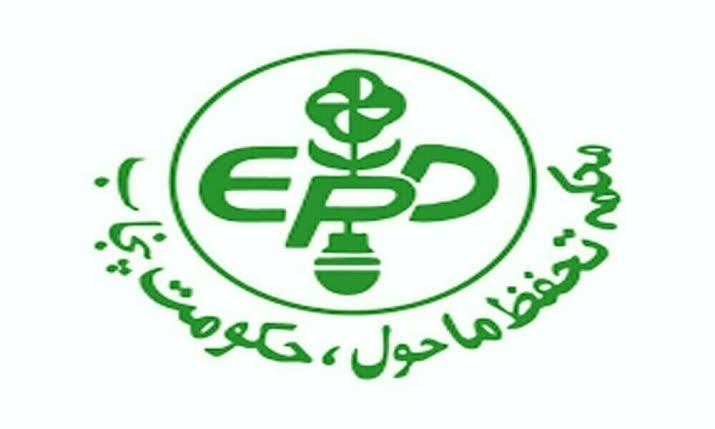 EP&CCD targets 800 women entrepreneurs with $15m green startup plan