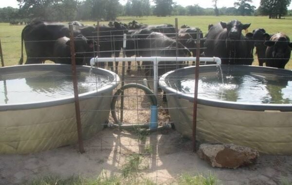 Balochistan to benefit from new Saudi-backed livestock and water infrastructure project