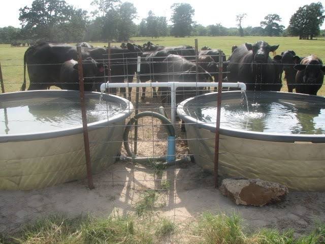 Balochistan to benefit from new Saudi-backed livestock and water infrastructure project