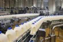 Punjab aims to boost dairy farming through Rs1b mechanization initiative