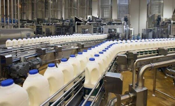 Punjab aims to boost dairy farming through Rs1b mechanization initiative