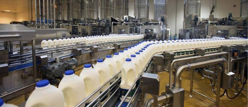 Punjab aims to boost dairy farming through Rs1b mechanization initiative