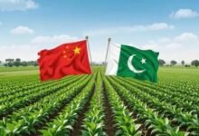 Pakistan eyes stronger farm research system through China cooperation