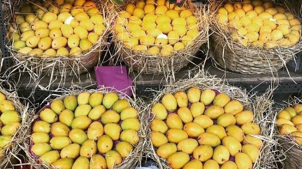 Pakistan earns $1.13 million through mango pulp exports in FY26