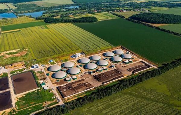 Sindh government plans major biogas project worth $30 million