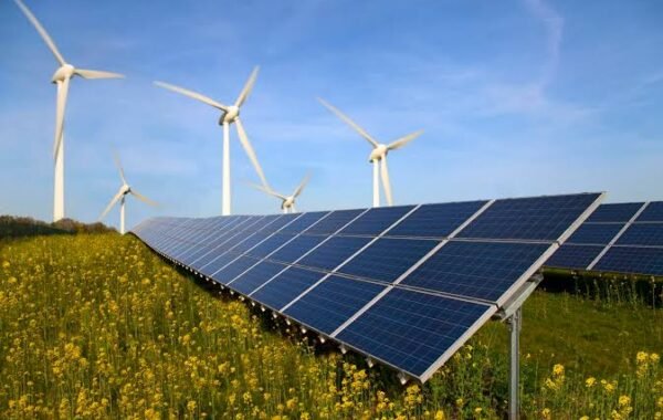 COP31 seeks to transform energy goals into bankable projects